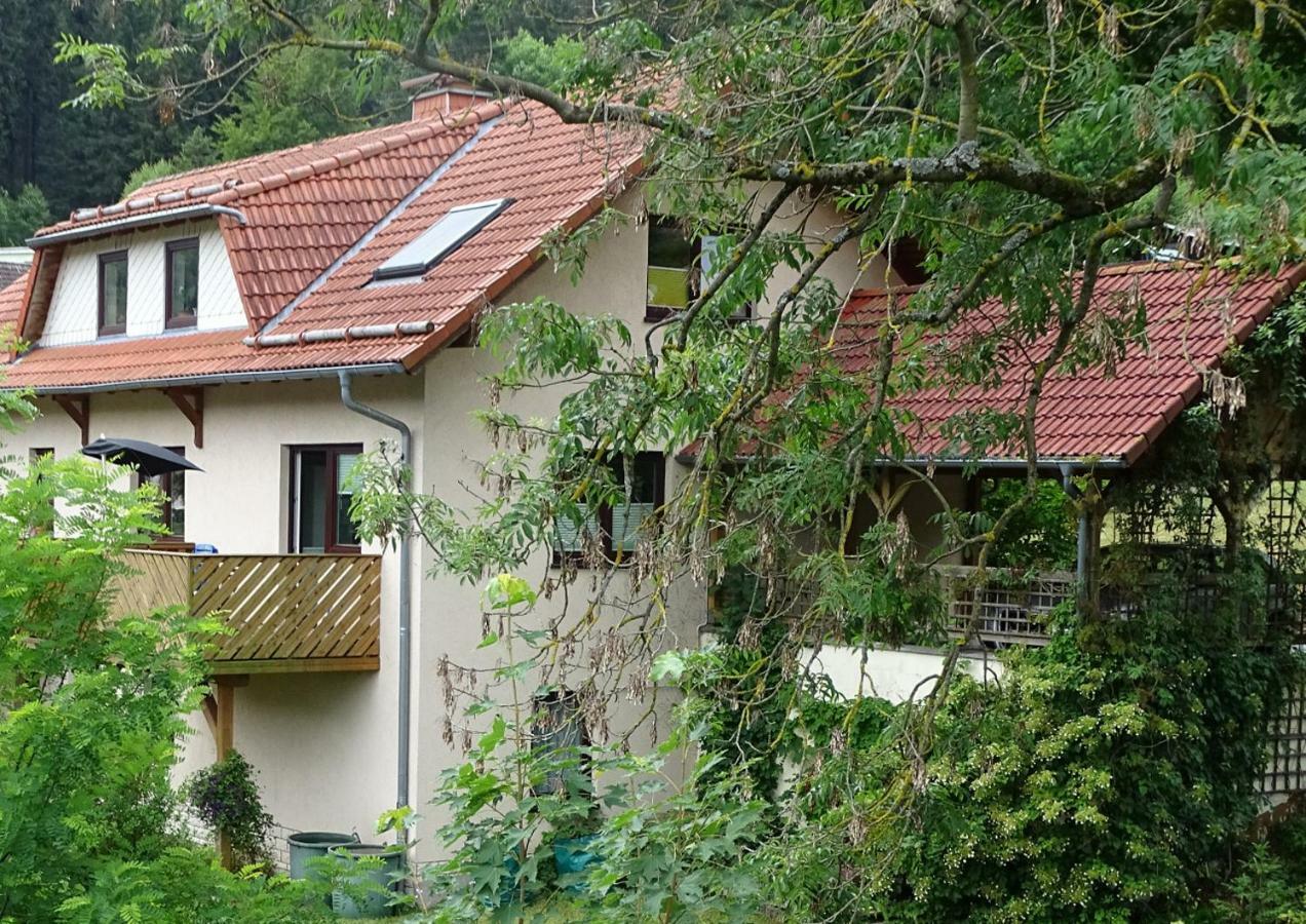 Ferienwohnung Am Berggrabenweg Ilmenau Exteriör bild